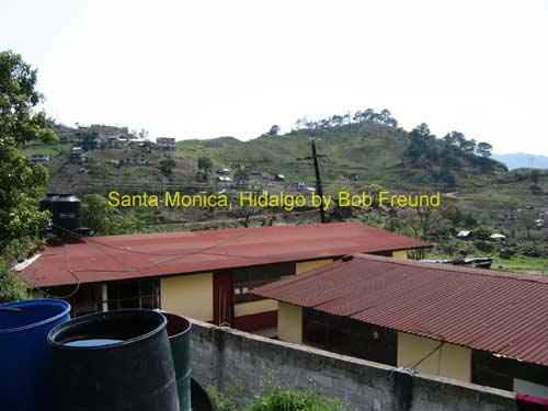 stamonica_o
