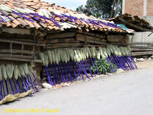 enthavi_brooms