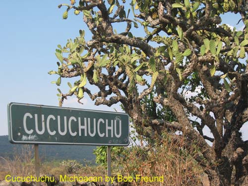 cucuchuchu_roadsign