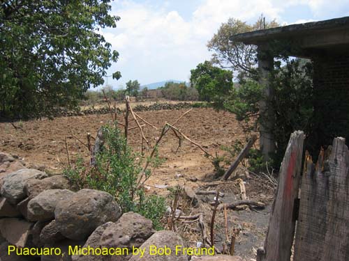 puacuaro_1
