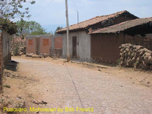 puacuaro_2