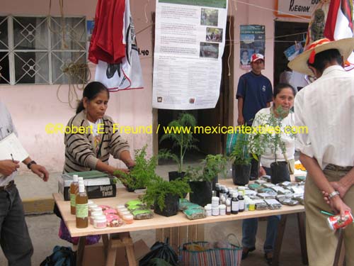 herba_team_02