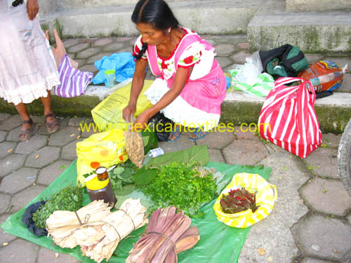 zapotitlan_totonaca_06