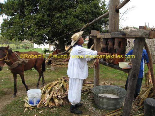 cumbre_tajin07_11