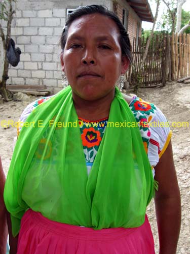 palnhidalgo_totonaca_04