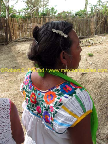 palnhidalgo_totonaca_07