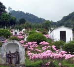 cemetery