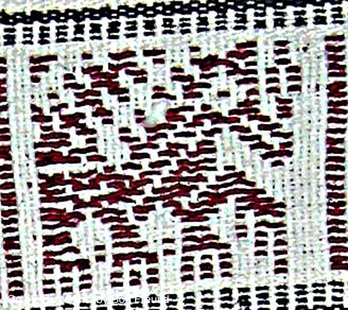 Cuanaco_design22 copy