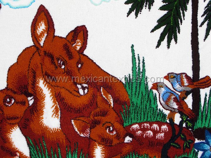 Embroidery San Antonio huehuetla, Hidalgo,Mexico /sn_antonio_embroiderey_34