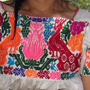 Teopancingo_huauchinango_21