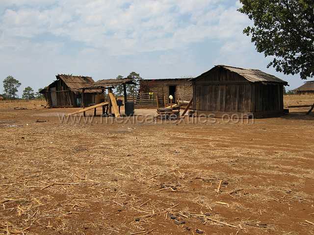 cora_pastor_08.JPG - Village of Cora Indian with examples of town, mountains, people, costume, textiles, costume and spiritual life