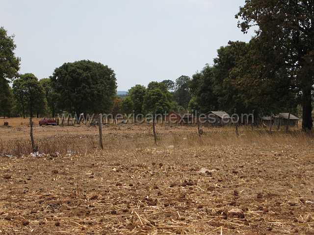 cora_pastor_12.JPG - Village of Cora Indian with examples of town, mountains, people, costume, textiles, costume and spiritual life