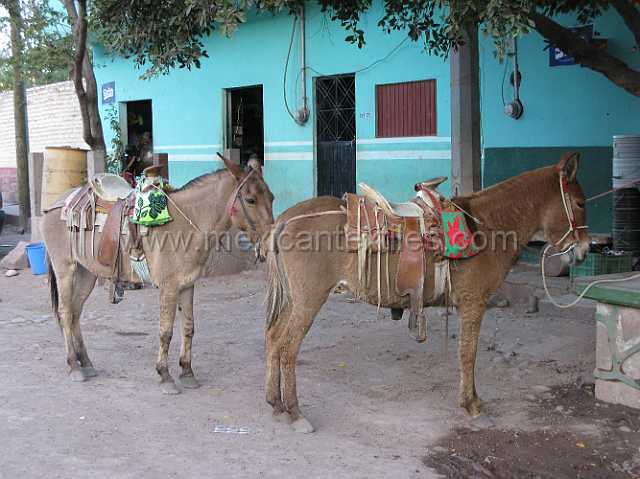 Jesus_Maria_05.JPG - Mules parked in town , Cora bags hangin on the saddle.