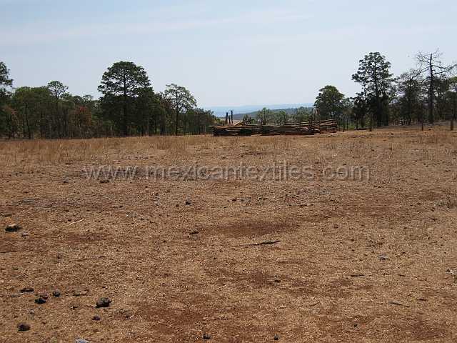 santa_anita_01.JPG - The rather stark surroundings before the rains.