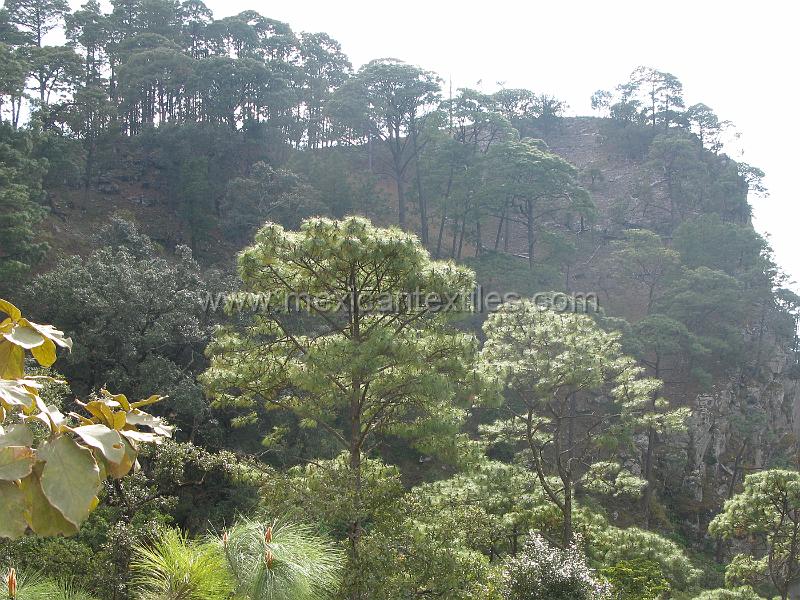 sierra_huajicori_14.JPG - Documentation of tepehuano indigenous textiles from Huajicori, Nayarit, Mexico