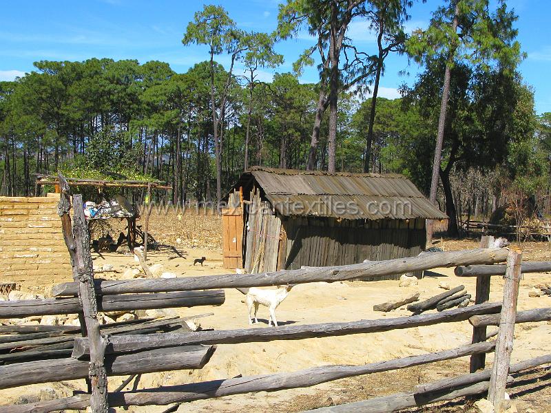lahigera_town_05.JPG - Documentation of tepehuano indigenous textiles from Huajicori, Nayarit, Mexico