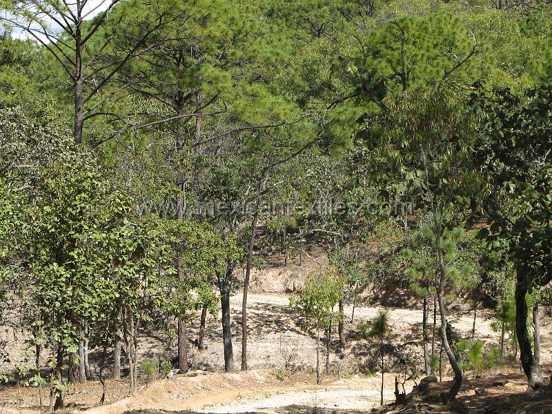 lahigera_town_07.JPG - Documentation of tepehuano indigenous textiles from Huajicori, Nayarit, Mexico