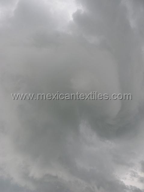IMG_7979.JPG