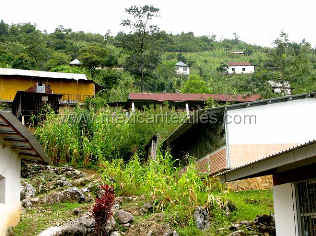 aguacatitla_mazateca_27.JPG - The town