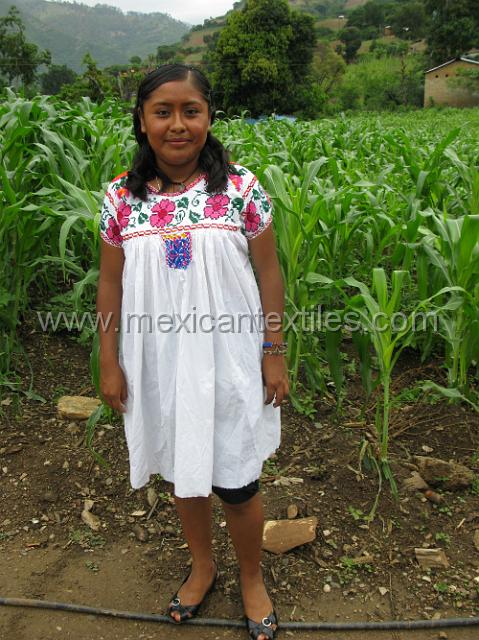 trapiche_viejo__14.JPG