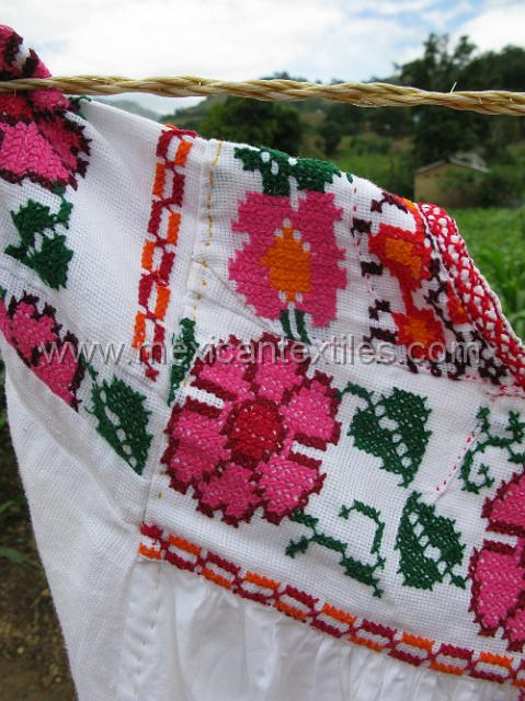 trapiche_viejo__33.JPG - close up with trim in a two colored "pato del Gallo" rosters foot embroidery.