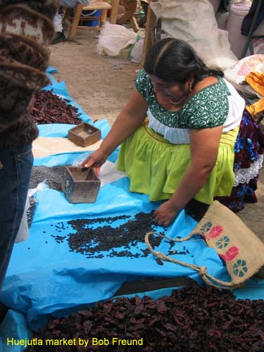 huejutla_nahua7