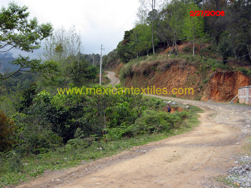 totolinga_views_03