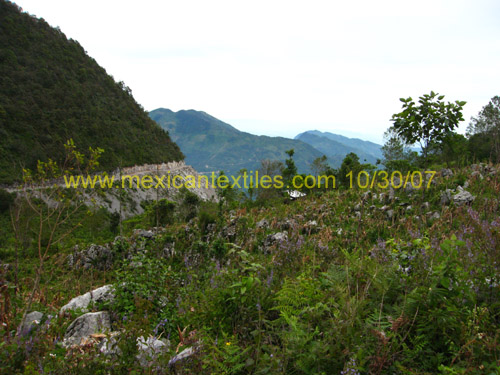 capititla_surroundings_05