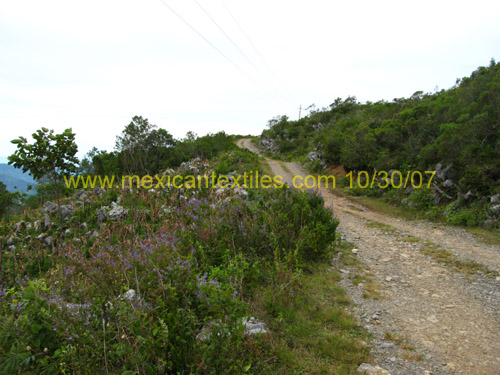 teneccalco_panoramic_02