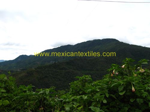 lacumbre_verzcruz_02
