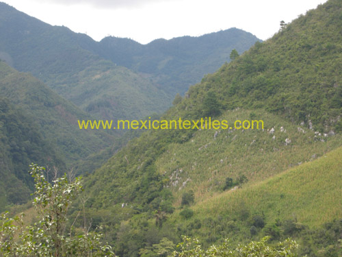 zincalco_veracruz_08