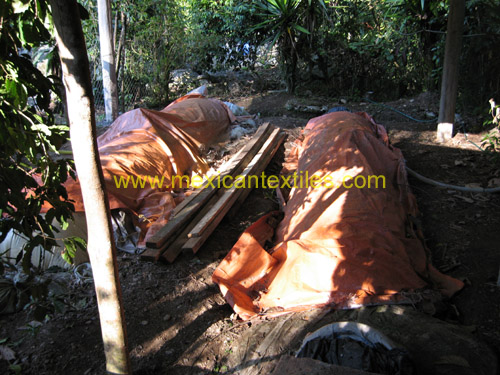 biogas