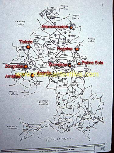 zongalicalocal
