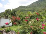 nogales_nahua_06