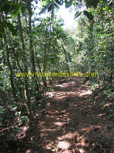 tlaixco_town_04
