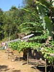 tlaixco_town_01