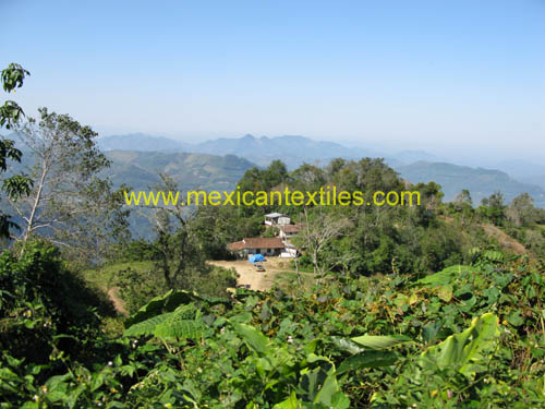 buenavista_panoramic_01