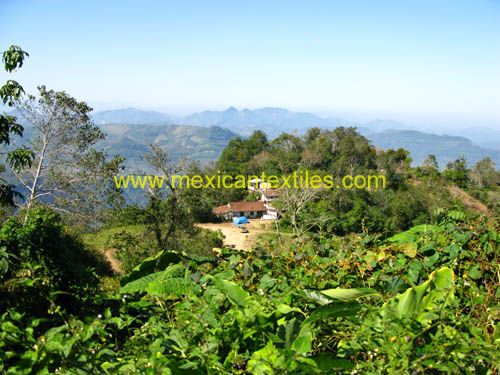 buenavista_panoramic_02