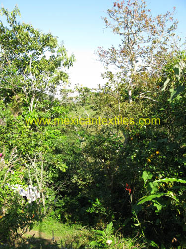calacuhautla_zoquiapan_02