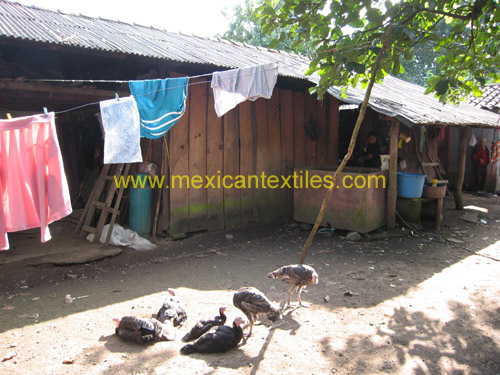nahua_home
