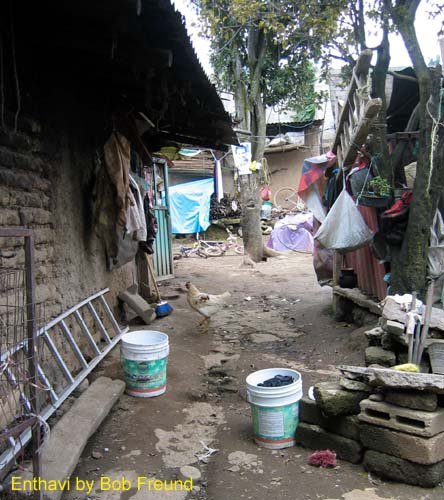 enthavi_home