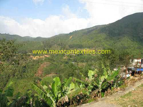 tlayehualoncingo_town_04