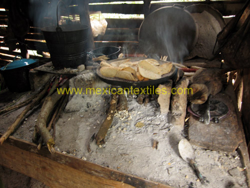 hearth_cat