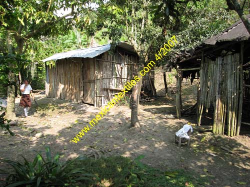 home_totonaco