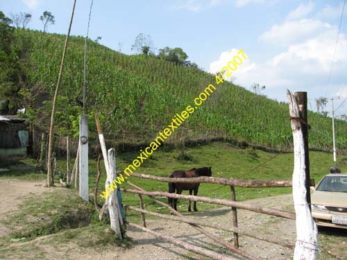village_launion_02