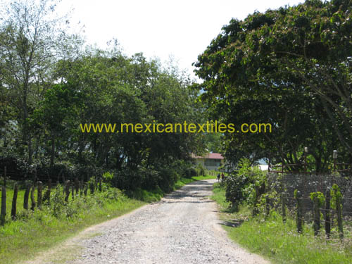 sntamaria_tlacuilotepec_02